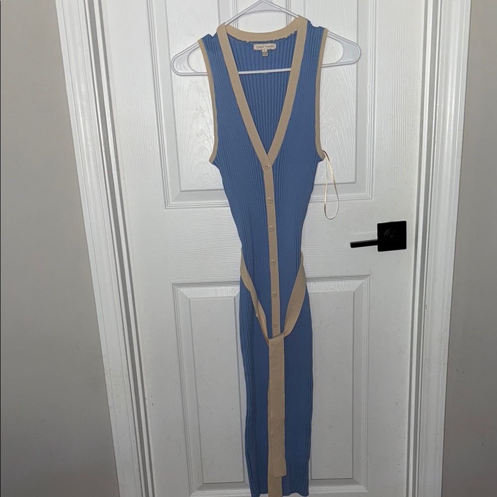 Blue and Tan Sleeveless Button-Down Dress